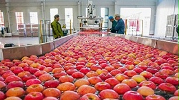 果胶酶解锁果蔬加工新效能，升级果汁品质