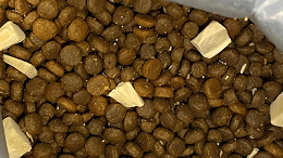 风味蛋白酶在宠物诱食生产中的应用