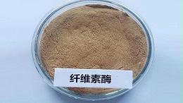 纤维素酶牛仔布酶洗返染解决方法