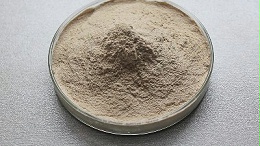 胰蛋白酶应用有多广？生物行业核心用途汇总