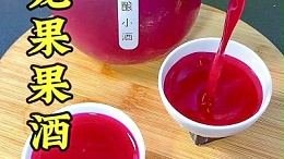 果蔬果酒出汁率低？——果胶酶精准破解