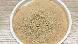 柑橘果汁涩苦难卖？鼠李糖苷酶脱苦，守住产品口碑