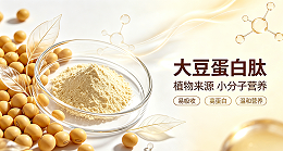 碱性蛋白酶酶解大豆蛋白，制取高活性小分子肽