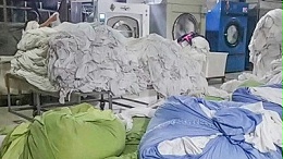 布草清洁的 生物黑科技”——洗涤酶制剂