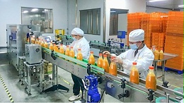 果汁澄清效率低、成本高？果胶酶给出优解决方案