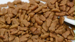 蛋白酶在宠物诱食剂生产中的应用