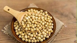 大豆蛋白酶解生产大豆低聚肽的生产工艺