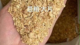 蛋白饲料加工新突破！木瓜蛋白酶的4大优势解析