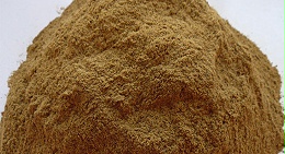 鱼粉品质差？酶制剂才是核心解决方案！