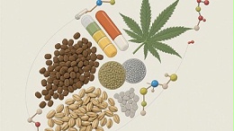 火麻仁肽酶解工艺流程