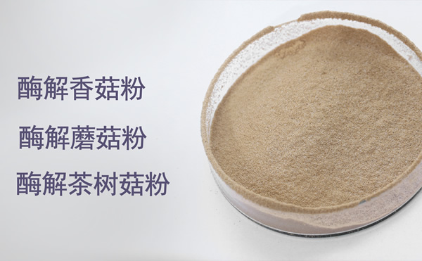 东恒华道复合调味粉OEM贴版代加工