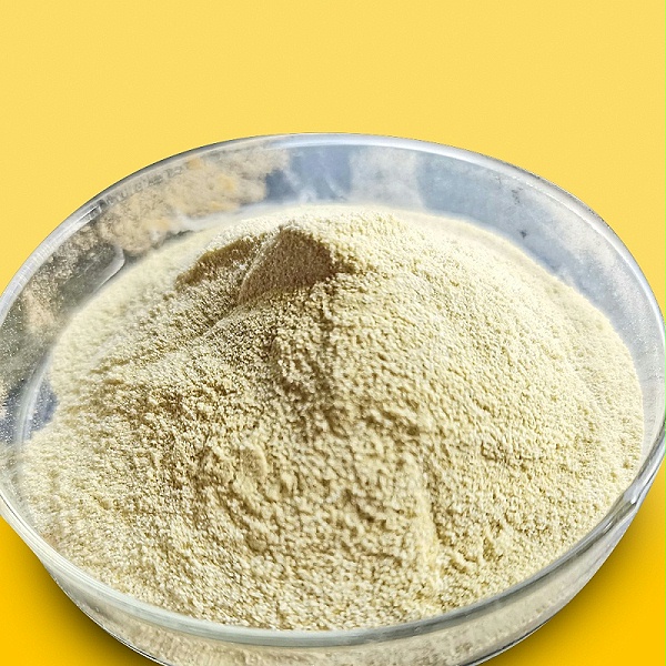 Fungal alpha-amylase