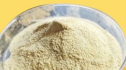 食品添加剂酶制剂有哪些应用领域