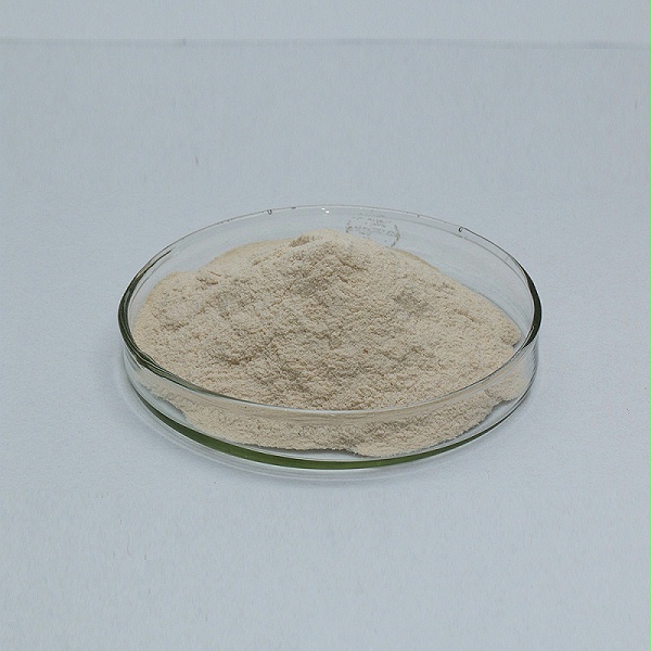 Alkaline protease14