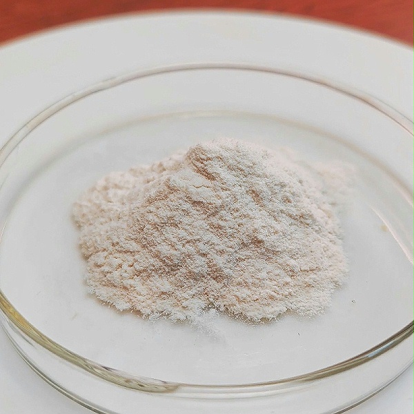 中温淀粉酶