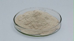 人参肽生产用什么酶？碱性蛋白酶优势解析