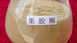 果胶酶的作用原理，正确使用方法与用量