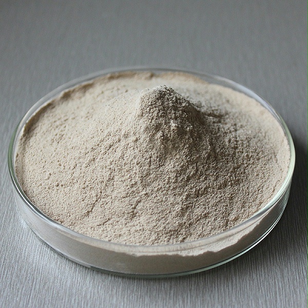 Pancreatin enzymes5