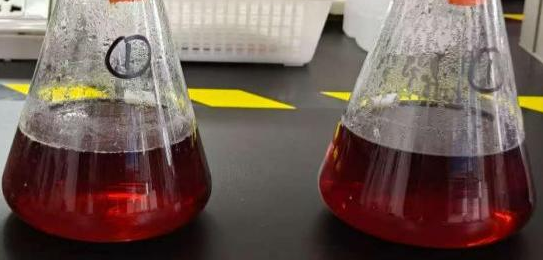 血蛋白肽