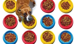 水解鸡肝粉生产宠物食品引诱剂在宠物食品中的应用效果