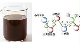 溶浆流动性差？碱性蛋白酶来破解
