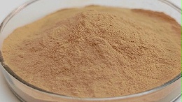 酸性蛋白酶有什么作用？适用场景全解析
