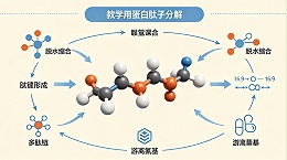 蛋白肽水解为什么会出现苦味肽？