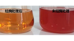告别浑浊出汁率低！纤维素酶赋能山楂果汁生产