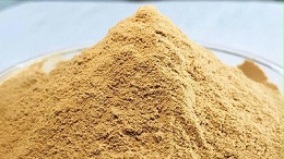 酶解鸡肝技术：打造适口的宠物诱食核心原料