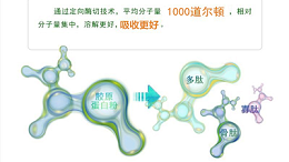 木瓜蛋白酶及碱性蛋白酶，哪一款适合骨胶原蛋白肽的生产