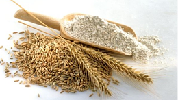 蛋白酶在小麦蛋白水解中的应用