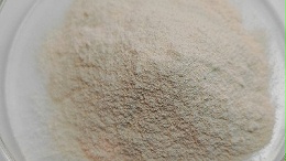 单宁酶的催化特性助力茶叶、槟榔产业升级