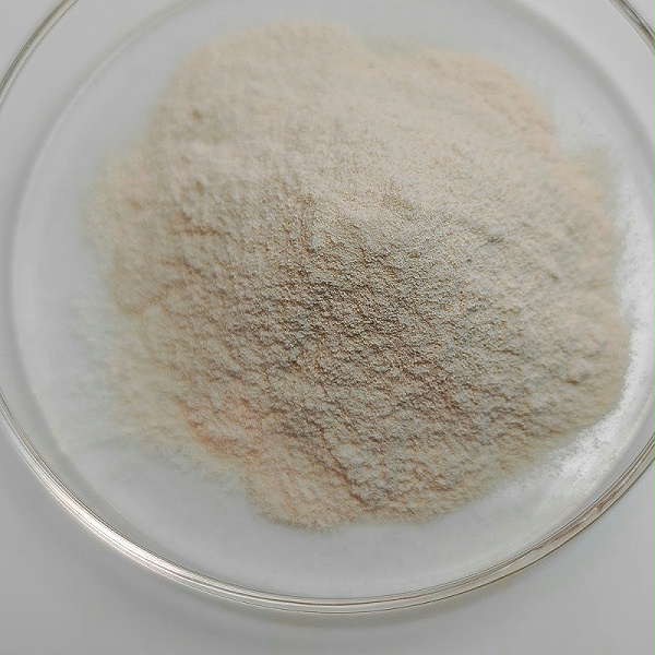 Tannase3