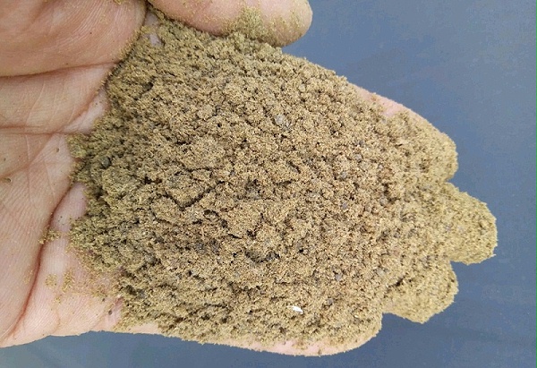 酶解鱼粉