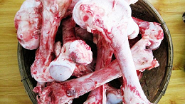 解密用牛骨生产补钙产品牛骨蛋白肽的关键——生物酶解技术