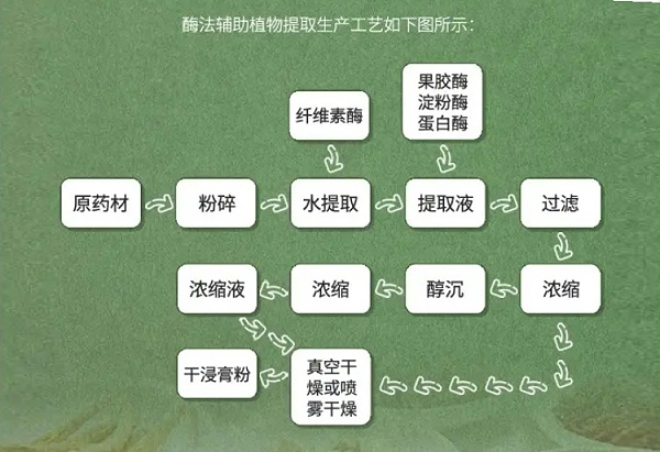 酶法辅助植物提取工艺