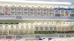 复配蛋白酶解锁乳品天然浓醇质感