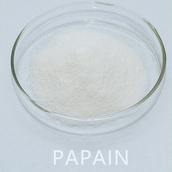 papain46