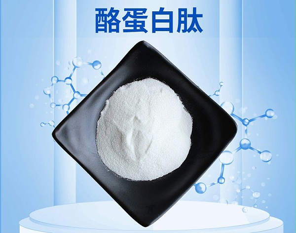 a21671b9aadaba01b2725eef0b79cc01