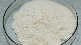 工业酶制剂——生物酶赋能，开启工业智造