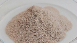 风味酶有多强？调味品提鲜增香的风味引擎