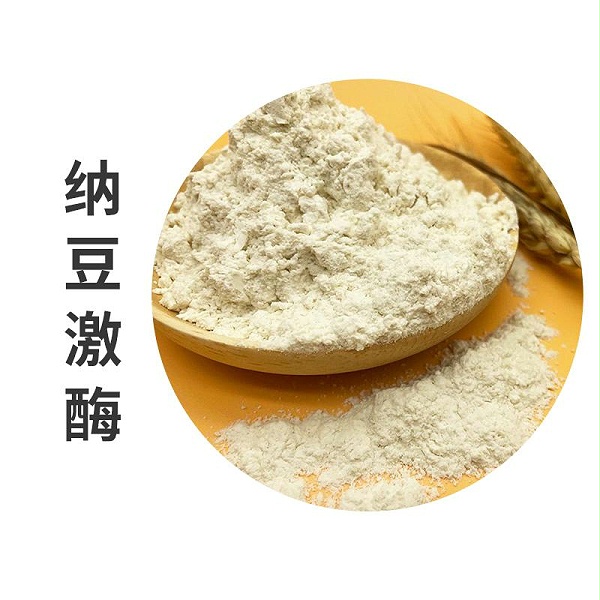 纳豆激酶冻干粉