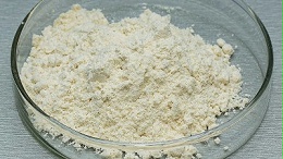 掌握真菌α-淀粉酶，轻松打造面米制品爆款品质