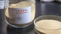 大豆肽是什么提炼的,核心工艺在于酶解