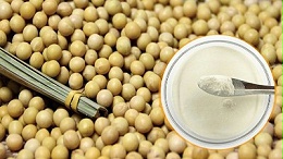 酶解工艺——大豆肽制备工艺新技术