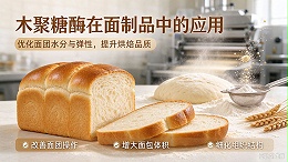 木聚糖酶：馒头提质的隐藏功臣