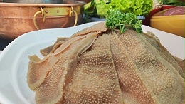 解决食品加工难题？蛋白酶的应用帮你找答案