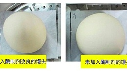 一文详解面包酶制剂有什么作用？
