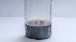 利用碱性蛋白酶提高宠物诱食剂适口性