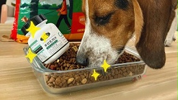 一文详解宠物诱食剂有哪些种类？